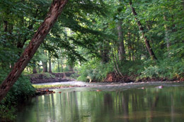 macon county nc soil water conservation north carolina